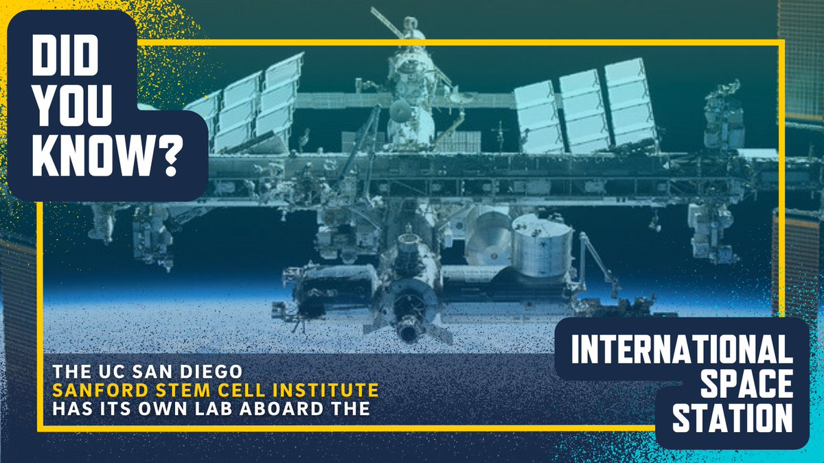 🚀DID YOU KNOW? The Sanford Stem Cell Institute has its own lab aboard the @Space_Station, as well as an Astrobiotech Hub to connect academia & industry in the furtherance of #spacemedicine.🌌Learn more @ stemcells.ucsd.edu ☄️#NationalSpaceDay #science #stemcells #medTwitter
