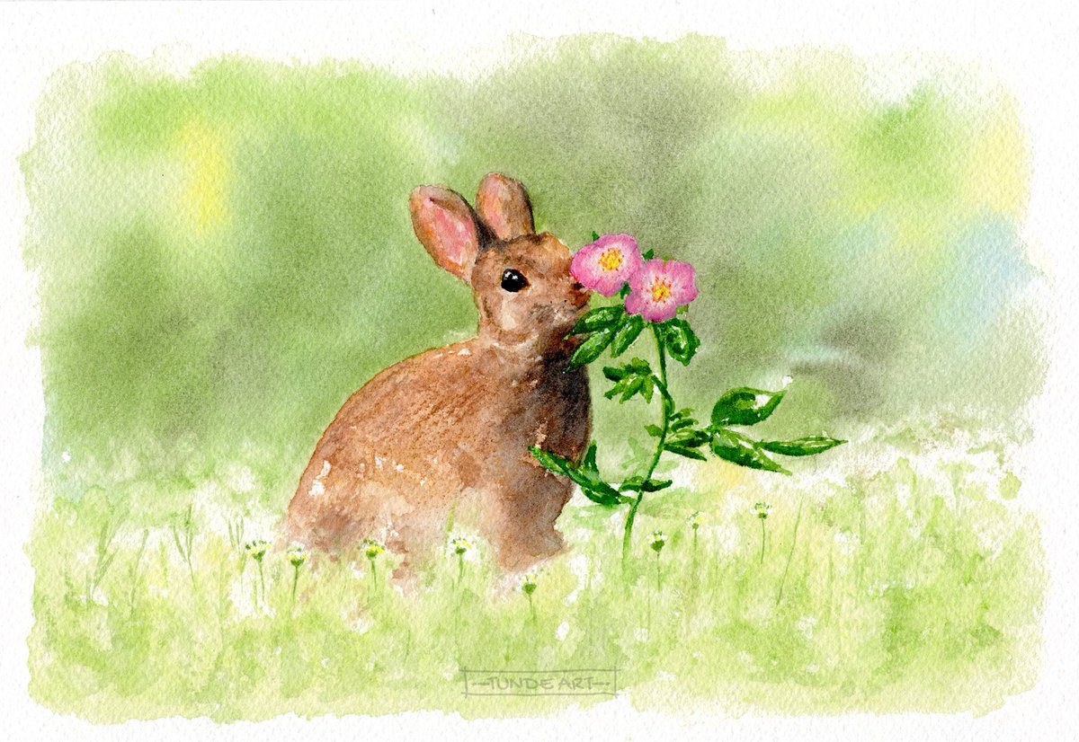 Weekend vibes. Have a great one.

#bunny #rabbit #nature #animal #roses #tundeart #watercolour