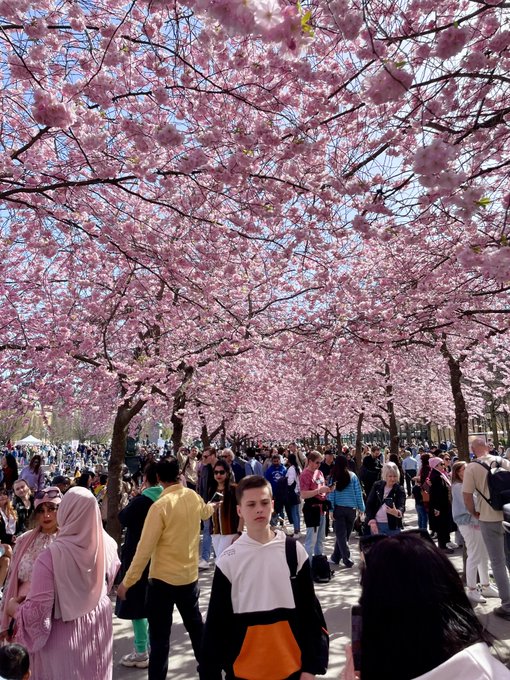 Viernes para agradecer a la plataforma @OnlyFans que sin ellos y mi arduo trabajo como creador de contenido<a class="tags" href="/tag/onlyfans">@onlyfans</a>