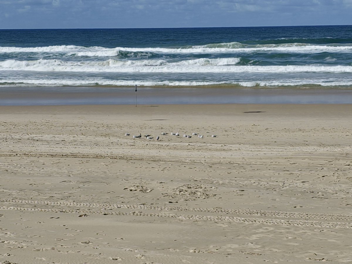 Shenanigans at Broadbeach a few weeks ago... #SuchFun