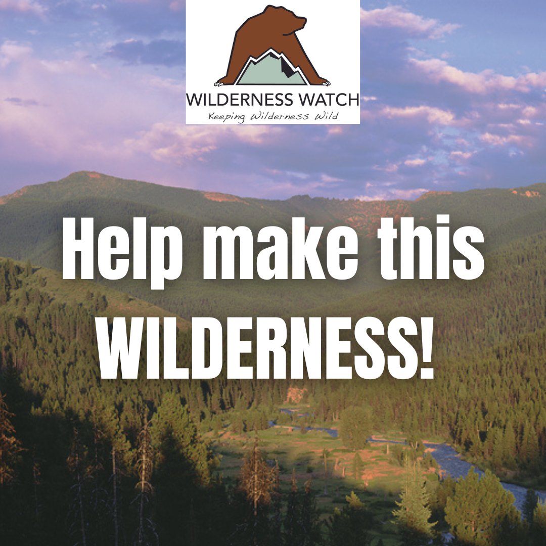 Write your U.S. senators and ask them to co-sponsor and pass the Northern Rockies Ecosystem Protection Act! #KeepItWild 

➡️ wildernesswatch.salsalabs.org/nrepa_senate/i…