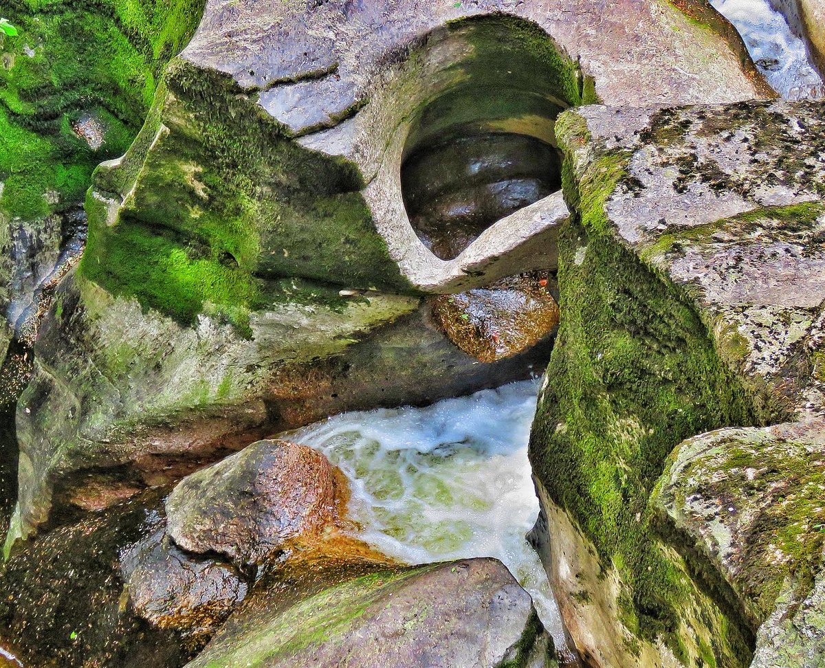 oldcrofthouse's tweet photo. #bluebells #bluebellseason #wildgarlic #springmagic #woodlandwalks #ewbankscar #stenkrithpark #cascadingwaterfalls #poetryinmotion #poetrypath #riverwalk #rivereden https://t.co/4QDTS8Dp9F