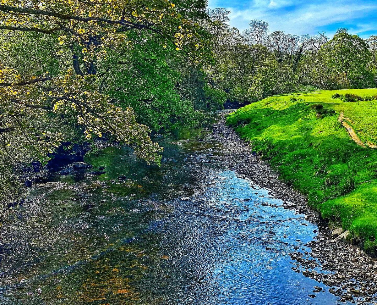 oldcrofthouse's tweet photo. #bluebells #bluebellseason #wildgarlic #springmagic #woodlandwalks #ewbankscar #stenkrithpark #cascadingwaterfalls #poetryinmotion #poetrypath #riverwalk #rivereden https://t.co/4QDTS8Dp9F