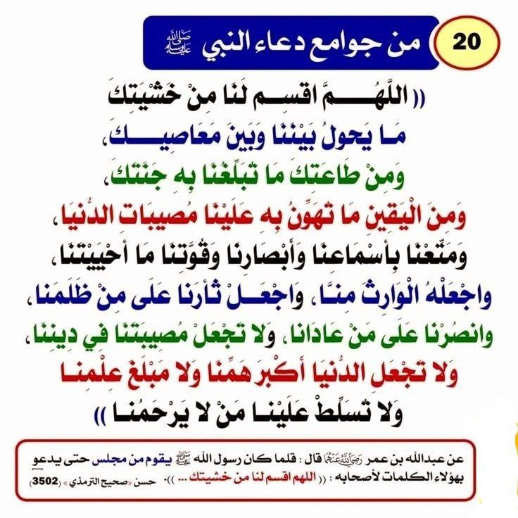 رضا إمام وهدان (@amamwhdan) on Twitter photo 