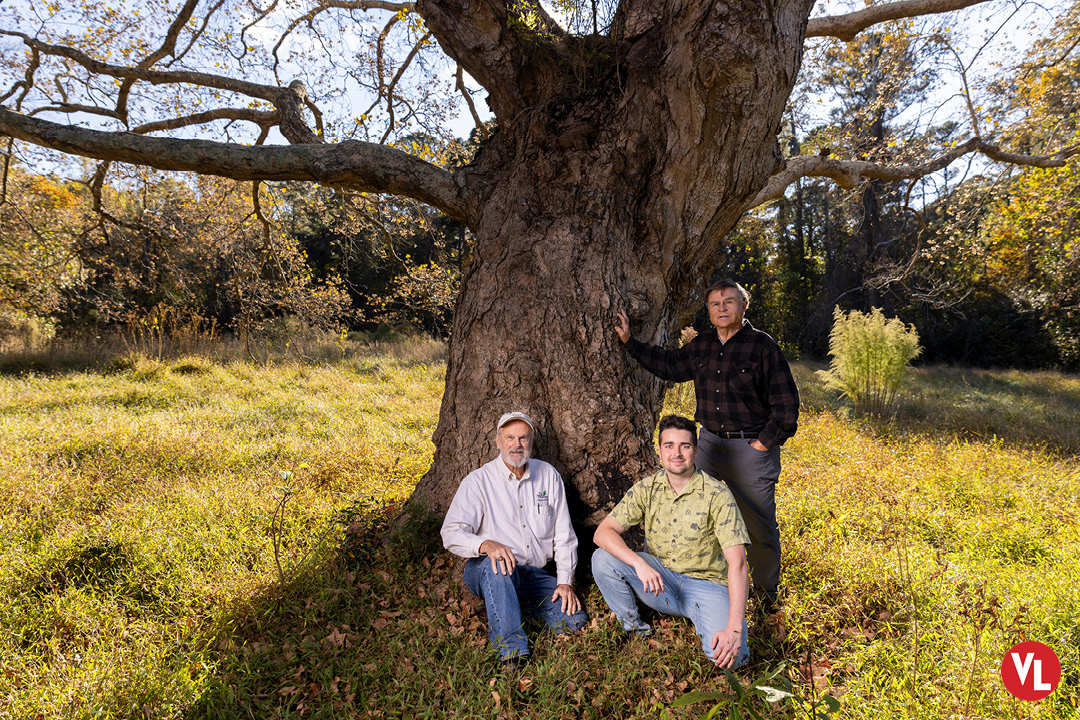 “The Tree Amigos,” Carmean, Williamson, and Kania spend days in the field tracking down trees spotted first using Google Earth or other programs. They also explore historic properties where unusually large trees tend to grow. ⁠ ⁠virginialiving.com/travel/destina…