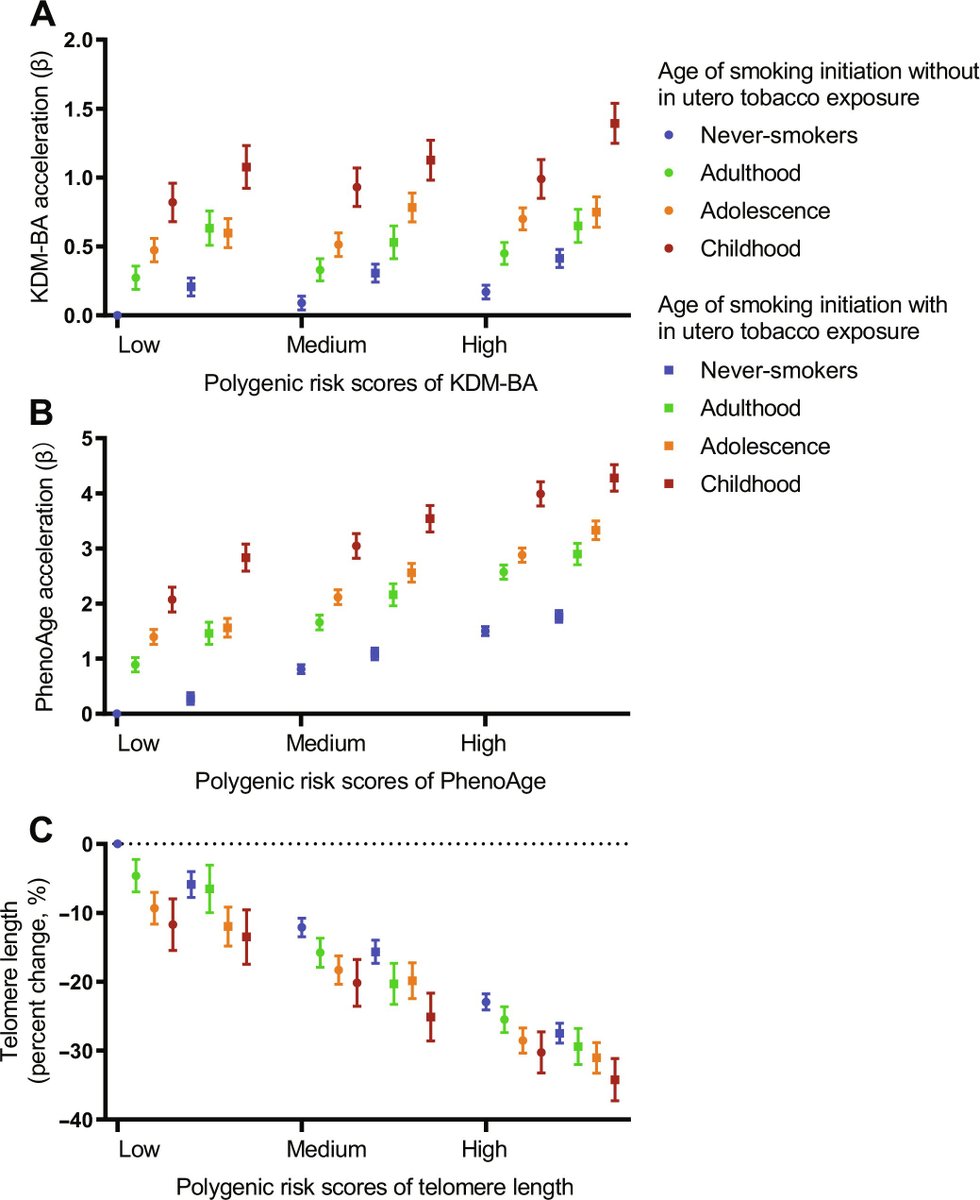 New research quantifies the extent to which early-life exposure to tobacco biologically ages and predisposes people to conditions including cardiac disease, type 2 diabetes, and more. scim.ag/6PH