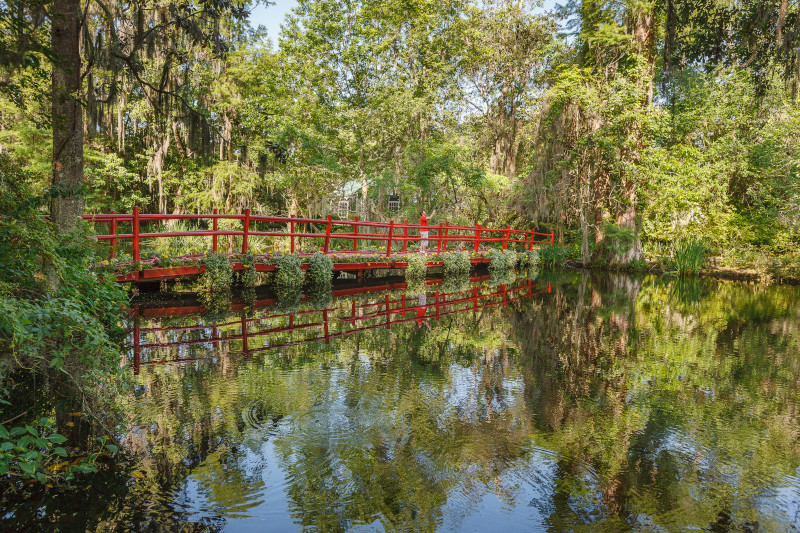 Take a road trip through South Carolina and visit some of the state’s most beautiful and unique gardens. 🌺 brnw.ch/21wJrSE #DiscoverSC