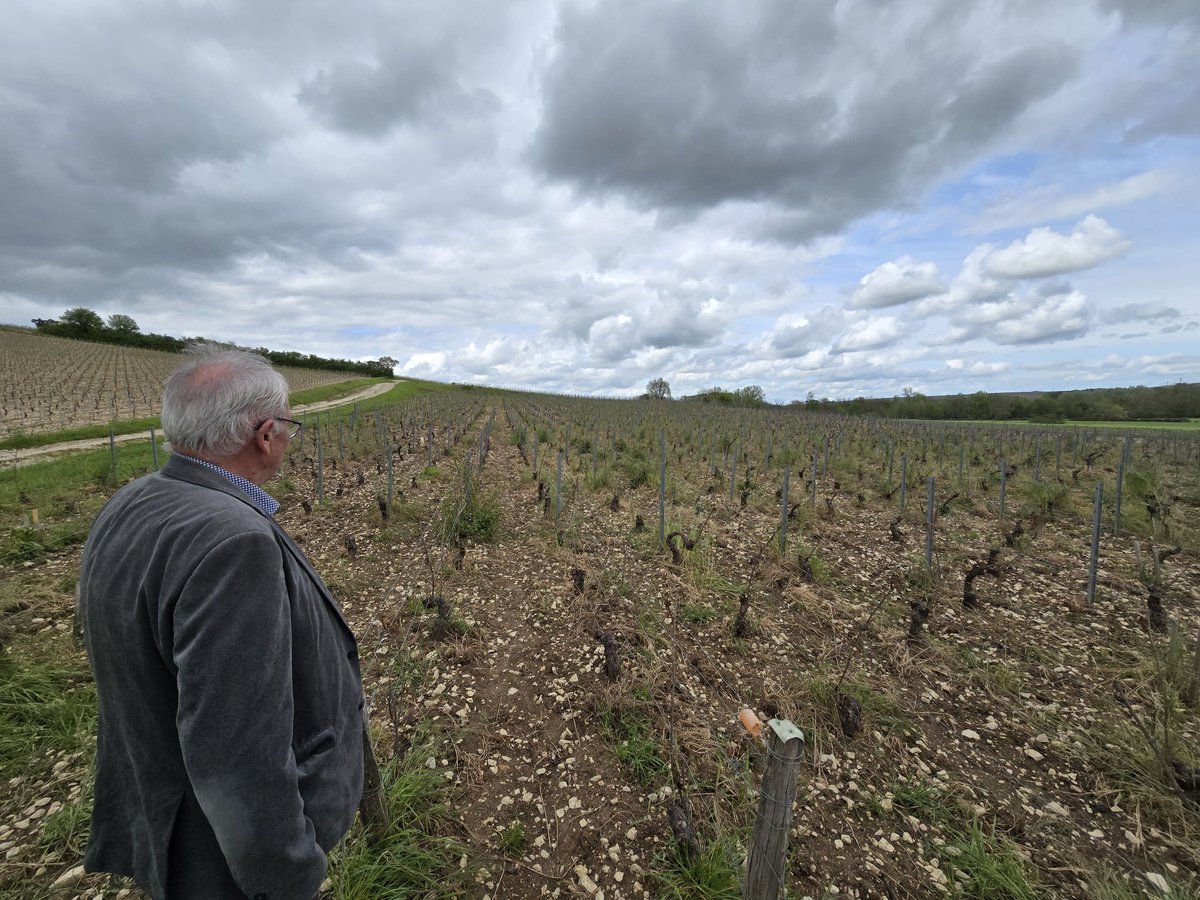 J'étais présent aujourd'hui auprès des viticulteurs icaunais, victimes de l'exceptionnel épisode de grêle qui a ravagé une bonne partie des vignes en début de semaine. Je leur exprime toute ma solidarité et j'appelle l'Etat à soutenir massivement les sinistrés.