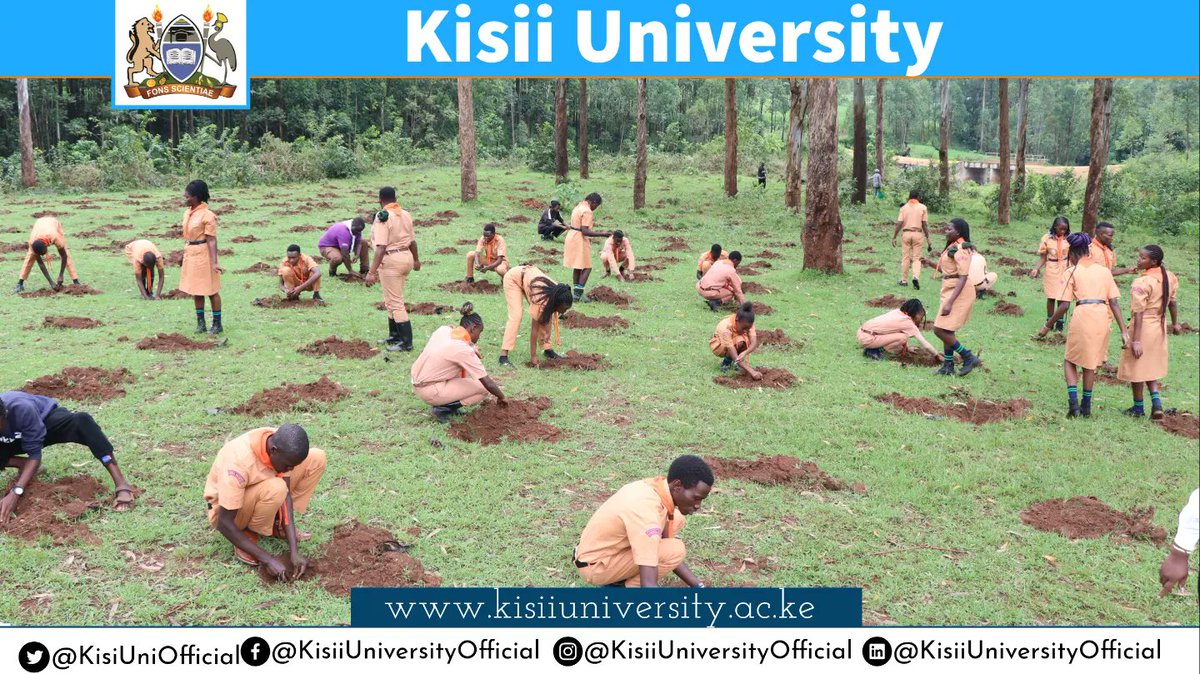 kisiuniofficial's tweet photo. As environmental warriors, today Kisii University led by our VC was on the frontline in pushing the growing trees agenda by planting 10,000 trees at Nyangweta. Ksu is on an ambitious quest to protect our environment by ensuring  trees many planted. #KisiiUniversity https://t.co/yVzP2P7Ae9