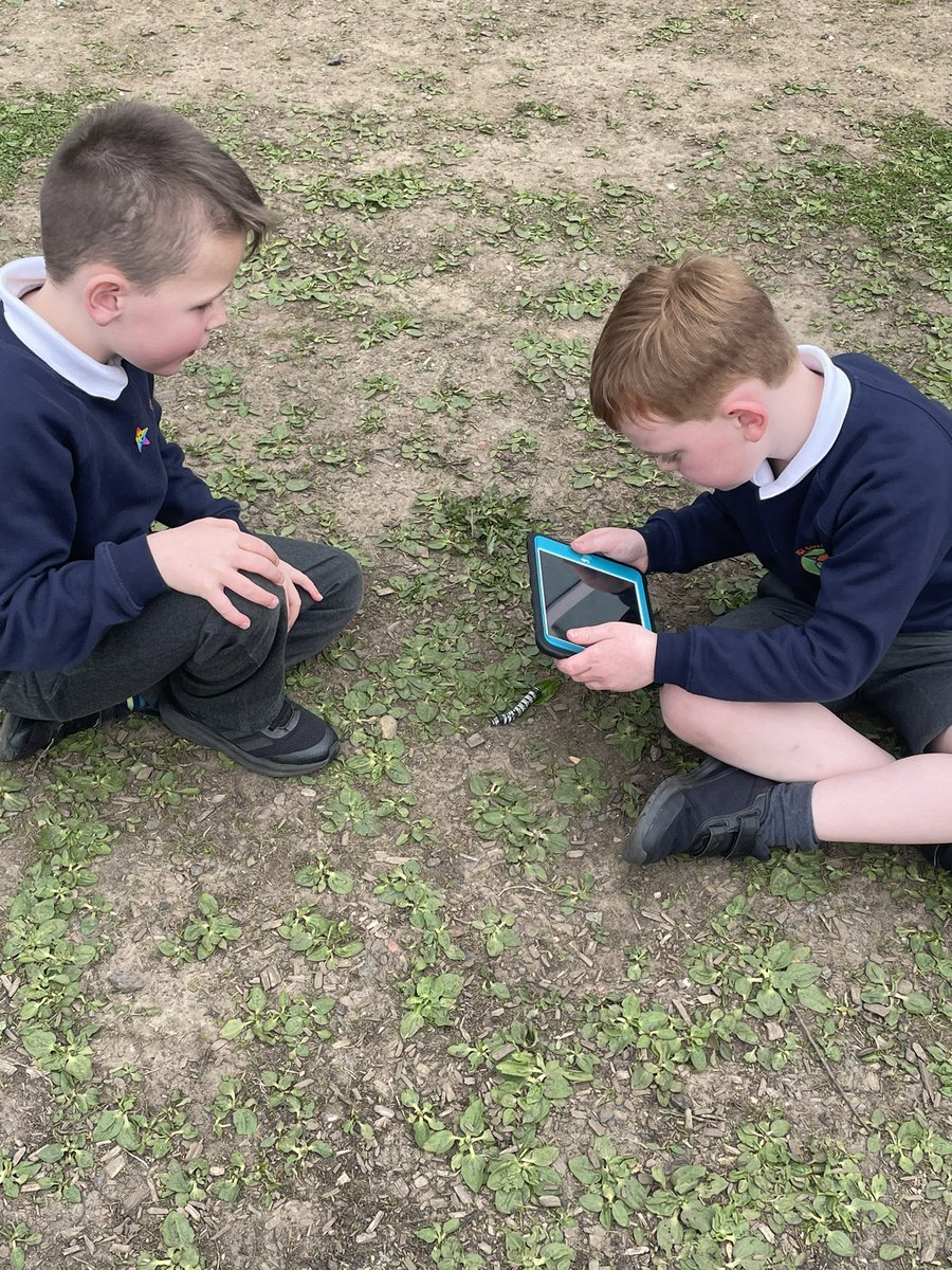 Primary 2/3 had lots of fun finding microhabitats for the minibeasts from the classroom 🐛🐞🐜🪳🕷️