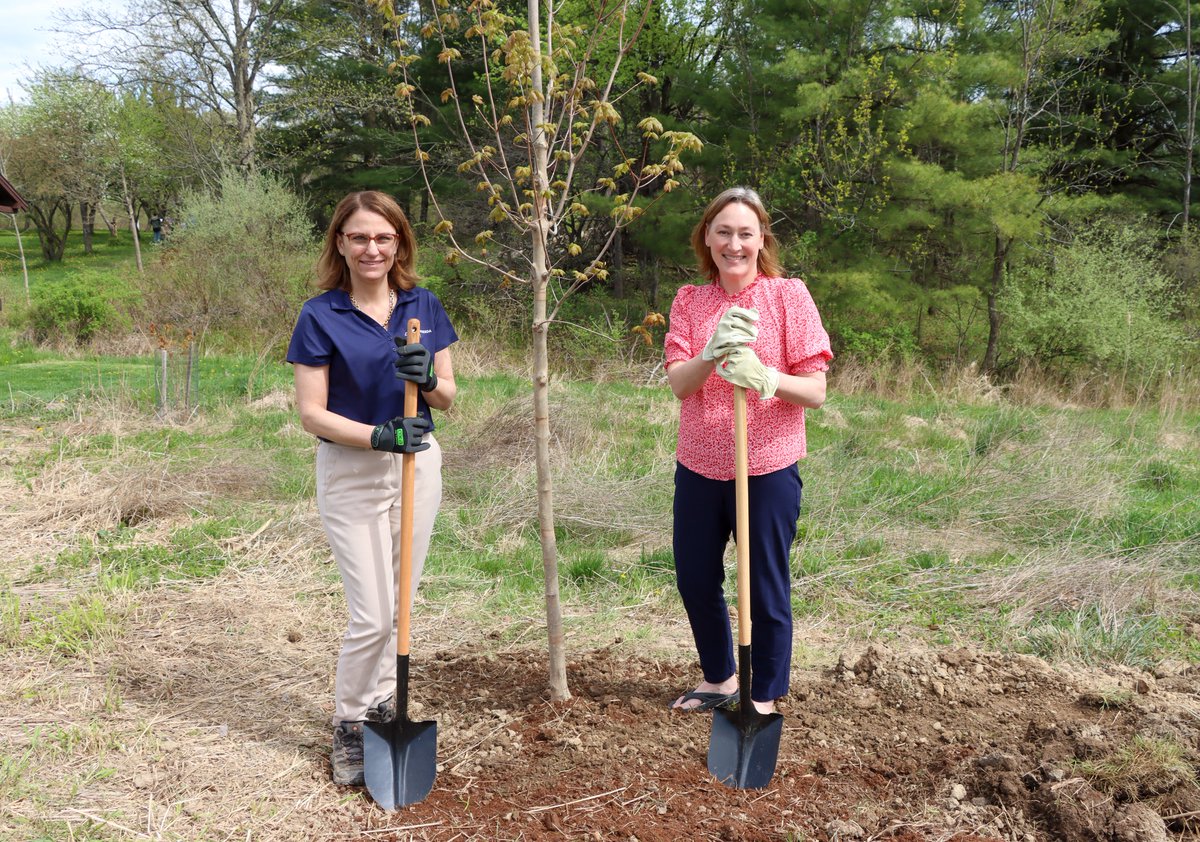 As this NYS sugar maple sapling takes root & grows into a mighty tree, I’m reminded that small actions can make a big impact. Wonderful to join Katie Petronis @nysdec at Five Rivers Environmental Education Center supporting @GovKathyHochul's goal of planting #25MillionTreesNY.