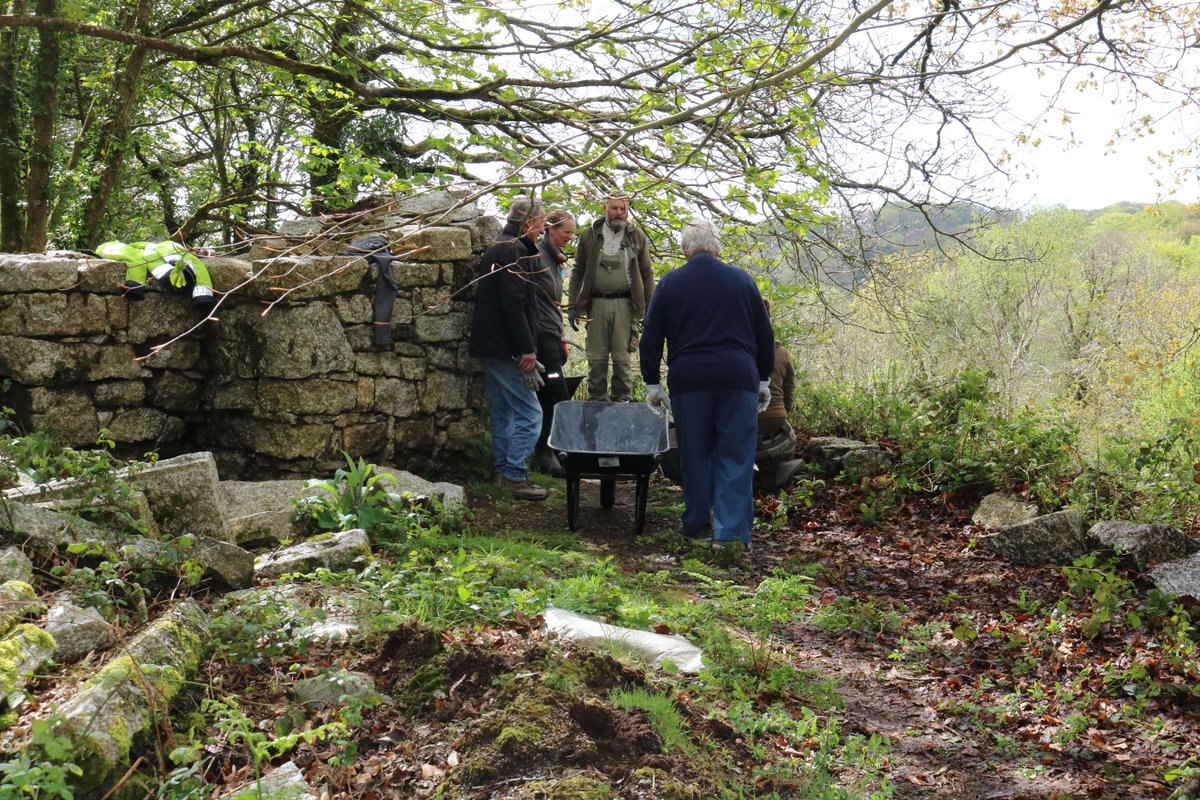 This week, our Rangers, our Volunteering Officer and volunteers joined experts from the Old Light Building Conservation to start work soft capping the Crib Hut at Treffry Viaduct. The work at the Crib Hut has been made possible by funding from @GWRHelp.