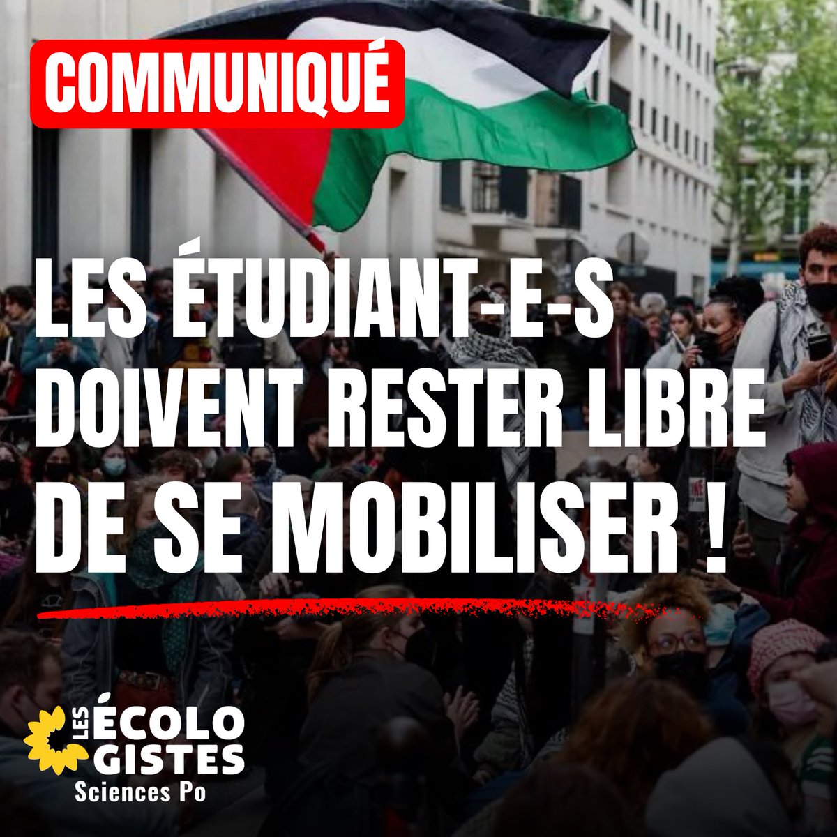 📣 Les étudiant-e-s doivent rester libre de se mobiliser ! Les libertés académiques sont mises à mal dans les campus français. Le gouvernement réprime par la force toute mobilisation issue du monde étudiant. Communiqué @EELV 🧶⤵️ #SciencesPo #Gaza