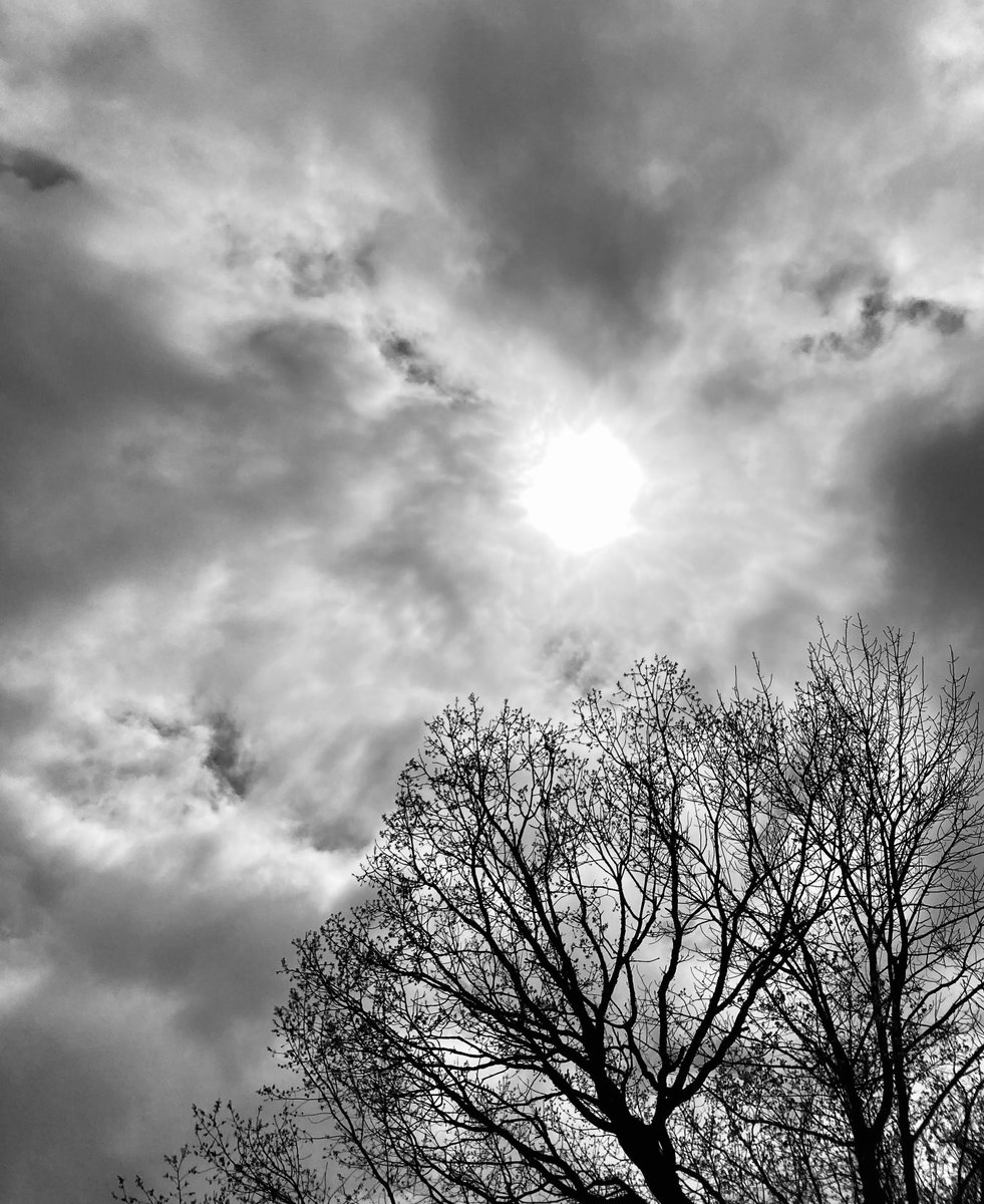 #NaturePhotography
#Naturephotography
#photography #Photography 
#nature #naturelovers
#tree #sky #sunrays #Friday 
#shadesofgrey #outside #seasons 
#May #naturesbeauty  
#Spring #clouds