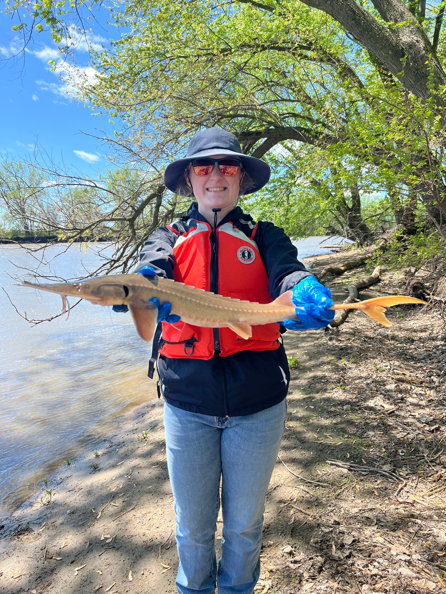 sturgeonscience tweet picture