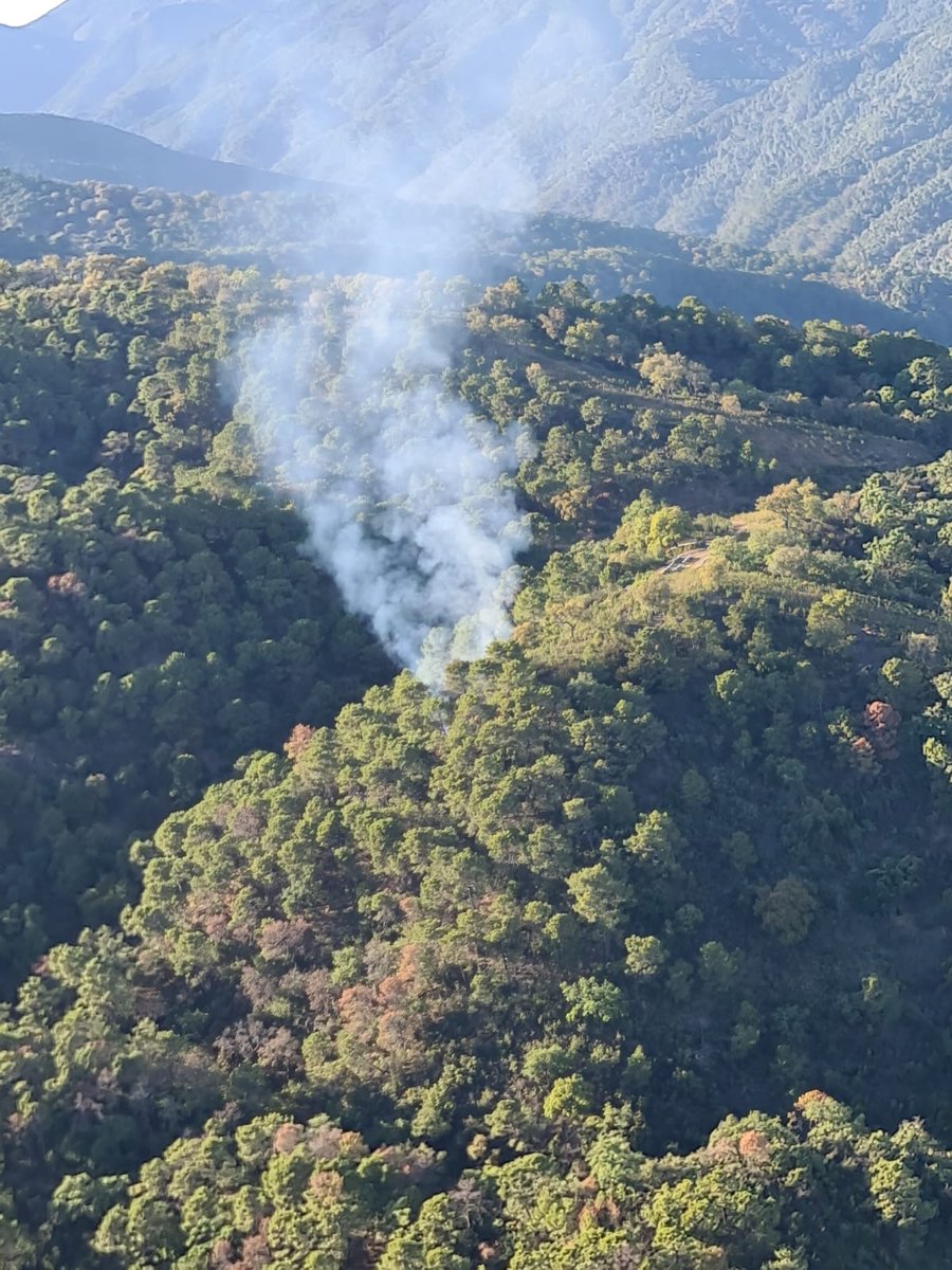 🗓️ 03/05/2023       🕗 19.29 h.

🔴 DECLARADO #IFBenahavís, #Málaga, en paraje 'El Madroñal'. Medios desplegados:
🚁 1 semipesado
👩‍🚒 1 grupo de bomberos forestales, 1 #BRICA, 1 técnico de operaciones, 1 agente de medio ambiente
🚒 1 autobomba