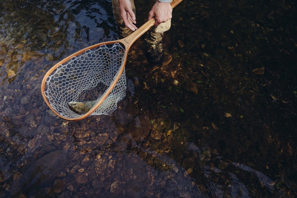 It's a catch and release kind of day. #BlackberryFarm #FlyFishing #HesseCreek