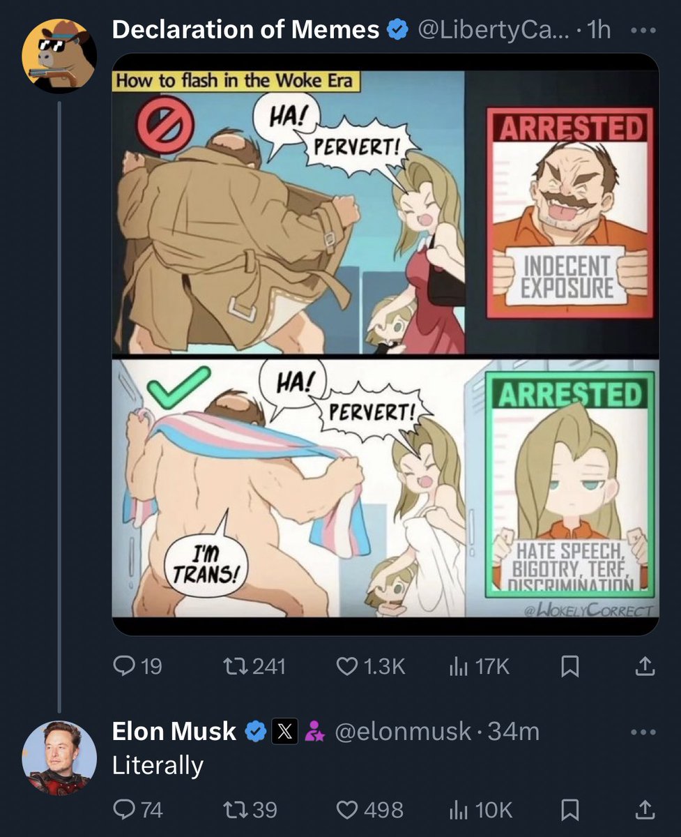 Convinced that Elon bought twitter so he could openly be a transphobe. You gotta have an insane amount of brain worms to agree with this very obvious anti-trans propaganda. Twitter is just Truth Social at this point. Both are run by the most looney far right freaks of our time.