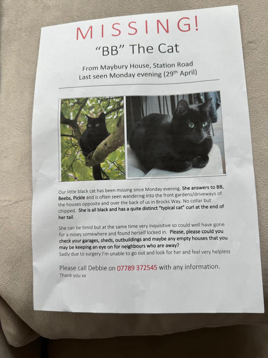 LOST CAT - PLEASE SHARE 💚

📍SHIPLAKE  📆  29th APRIL 2024

#LOSTCAT #FOUNDCAT #lostandfound #LostandFoundPets #rg9