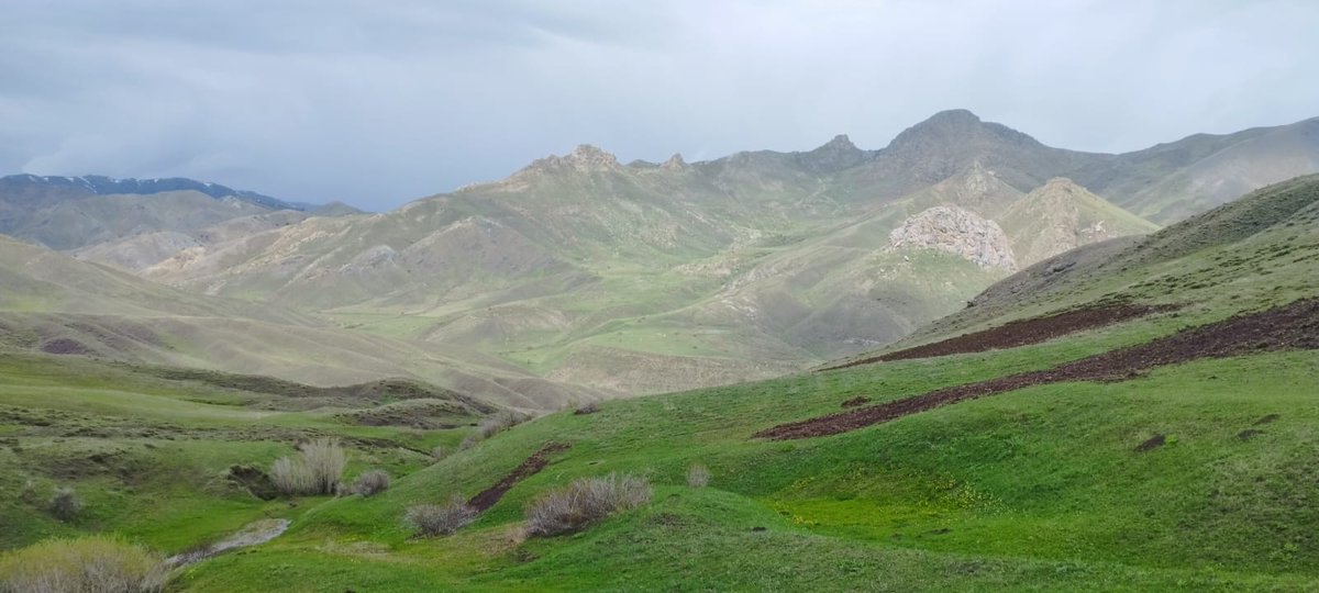 Gidelim sevdigim yayla zamanı şu karşıki taşlı yollar bizimdir.
Soğuk sulu gök çimenli yaylalar serin serin esen yeller bizimdir...

Aşık Mevlüt İHSANİ