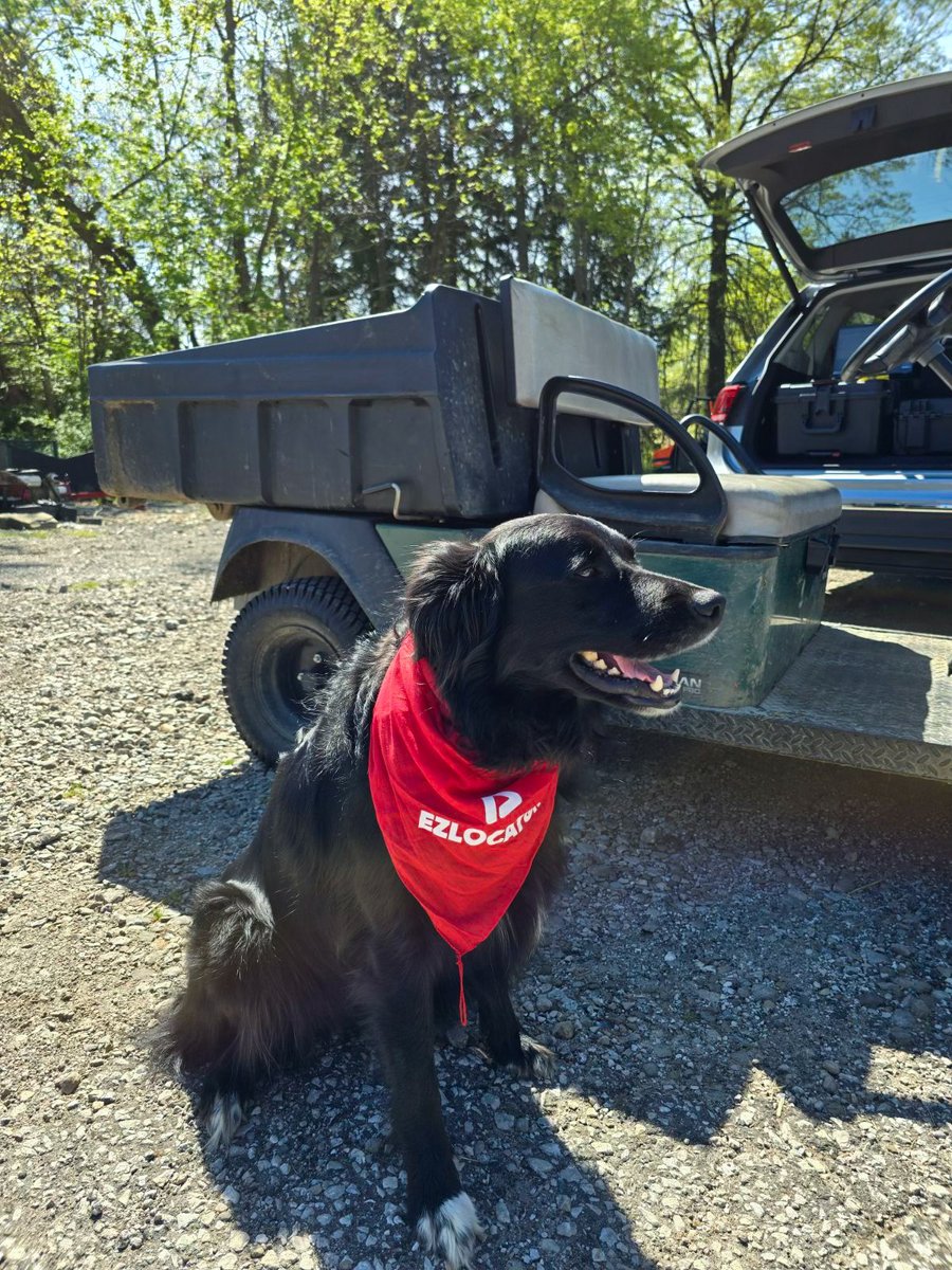 Thrilled to welcome Beechmont Country Club to the #ezLocatorFamily! ⛳️ Their course is incredible, but the real MVP? Roxxy, their adorable turf buddy! 🐾 Like this post if you love your turf dog too. 
<a href="/DogsOfTurf/">Dogs Of Turf</a> <a href="/BeechmontAgron1/">Beechmont Agronomy</a> 

#OhioGolf #BeechmontCountryClub #ezLocator