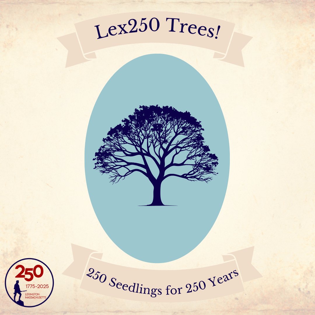Lexington Public Works Department Giving Away Tree Seedlings to Commemorate Lex250 lex250.org/lexington-publ… #Lex250