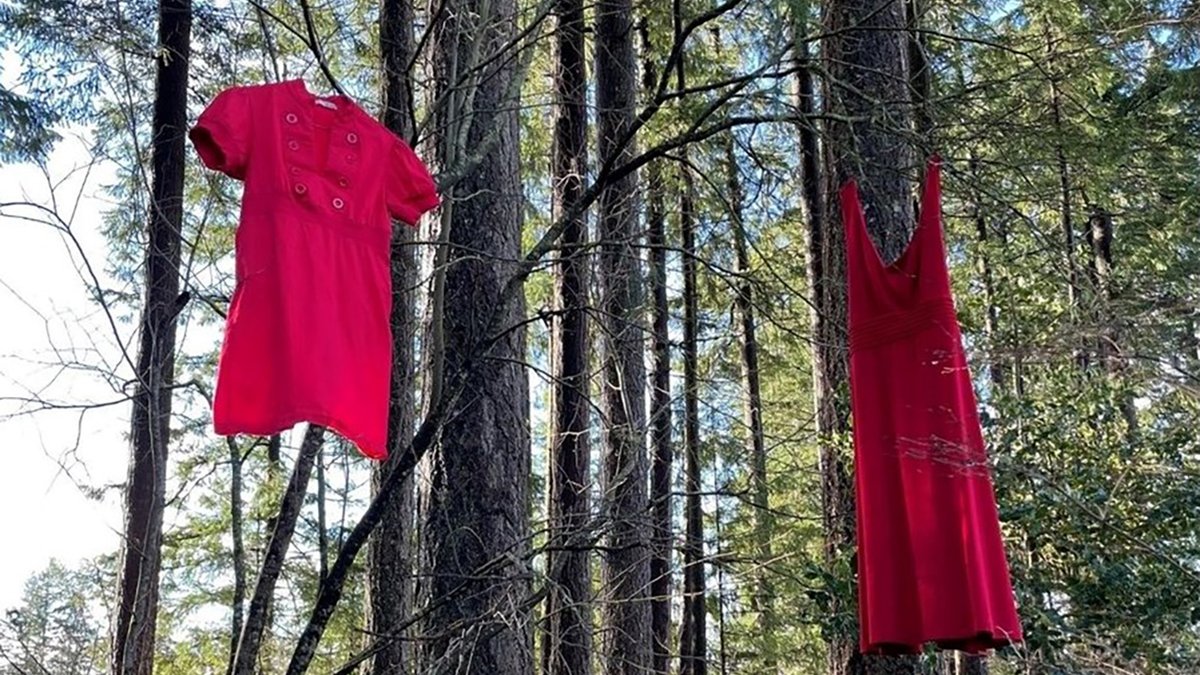 On #RedDressDay (May 5), we commemorate and honour missing and murdered Indigenous women, girls, and two-spirit individuals. Join us in raising awareness and learning more. Resources available at: 72learninghub.ca/72learninghub/… #RedDressDay #MMIWG #CRSD72cares