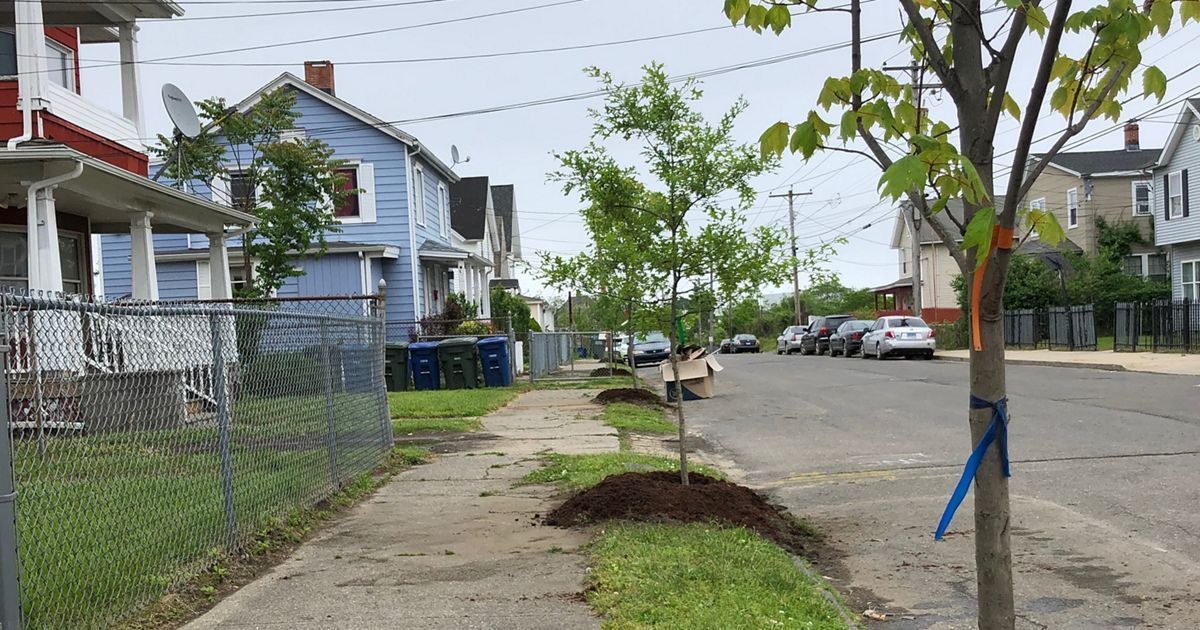 #NewStudy by @nature_org & U.S. Department of Energy highlights urban tree-planting as a game-changer for U.S. cities. Increasing tree cover can significantly reduce heat-related health risks. Learn more 👇 buff.ly/4aUGwot