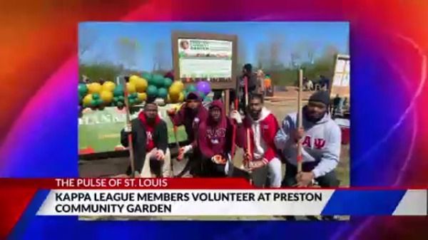 📣 The Preston Community Garden was featured by @juhda of @FOX2now on all the great work the garden, led by Patrice Rogers, is doing! This @seed_stl network garden has done so much in just a few years. 📺 Watch: buff.ly/3QqK1es