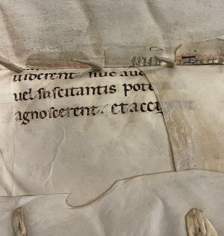 An unexpected #fragmentfriday find - a Bede homily (and some later friends) hitching a ride on the binding of a 1543 ed. of Andrea Fulvio's works - searchworks.stanford.edu/view/171899