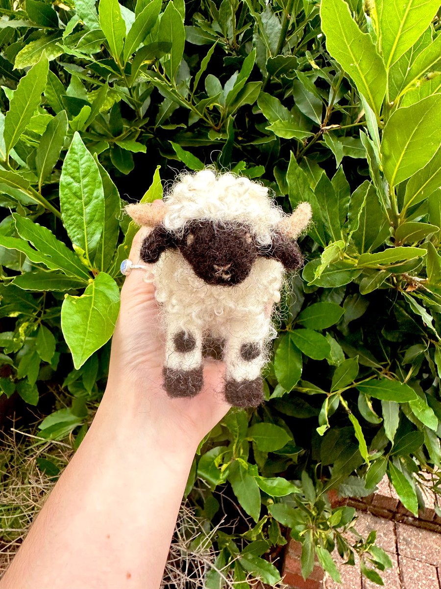 Are you looking for a special gift?

Our handmade Valais Blacknose sheep are handsculpted gently — no two sheep are ever the same, with their own personalities & expressions, unique horns and fluffy black knees! 

Shop: minimotleysanctuary.etsy.com

#MHHSBD #womaninbizhour #shopindie