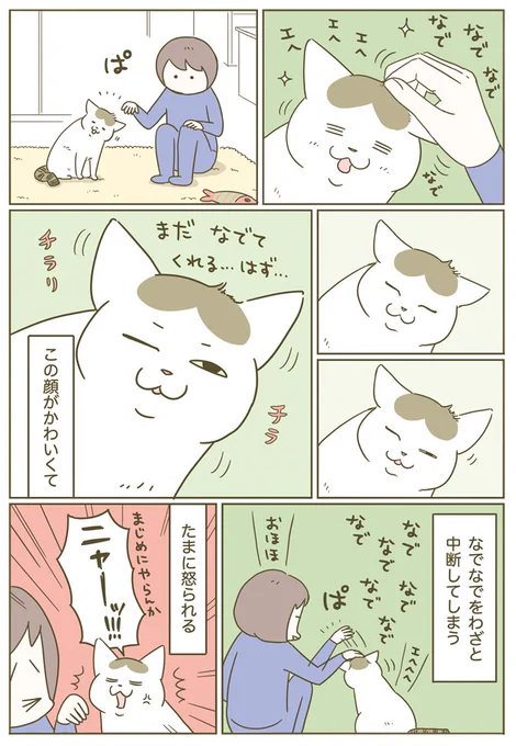 猫についやっちゃうこと 