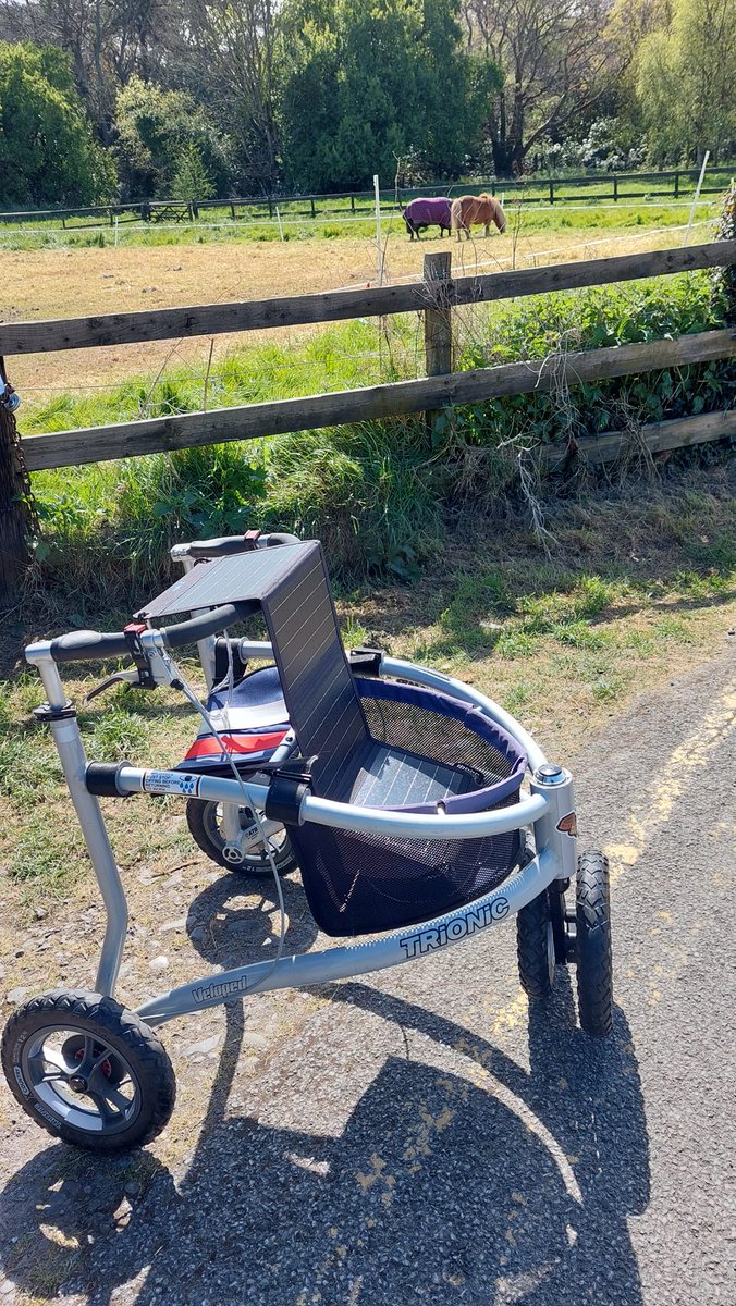 A solar-powered Walker!?

#trionic #rollator #outdoor #optoutside #adventure #travel #giftidea #disability #accessibility #ability #ms #parkinsons #exploring #camping #hikking #fishing #hunting #trails #FridayFeelings #winter #walking #PhysicalTherapy #FridayVibes #HappyFriday