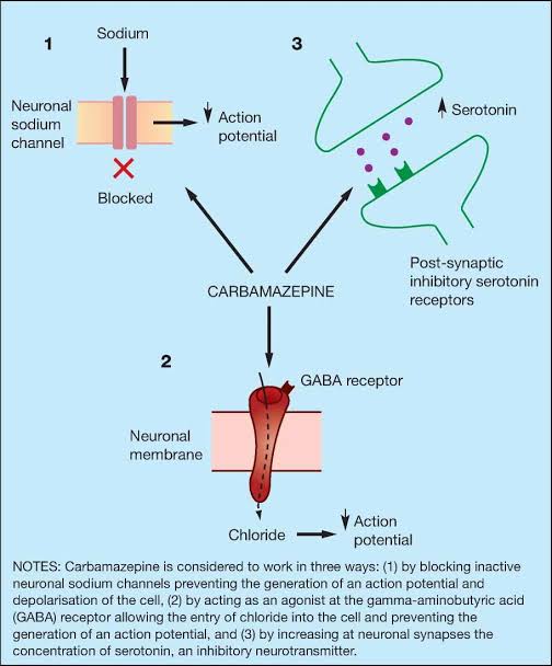 @md1talk 🔴Carbamazepine is a potent enzyme inducer. It also induces its own metabolism (autoinduction) by simulating the activity of the cytochrome P450 (CYP) subenzyme 3A4. Autoinduction is usually completed within 3–5 weeks