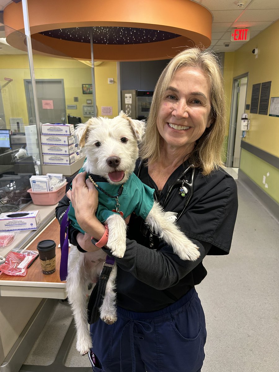 Today on my rounds at Summerlin Hospital I saw Nurse Sheila in the Pediatric Oncology Unit then paid a visit to my dogtor friends in the Pediatric ER! 
Have a GREAT weekend everyone! 
~ Deke🐾
#TherapyDog
#IAmATherapyDog
#PawYouNeedIsLove