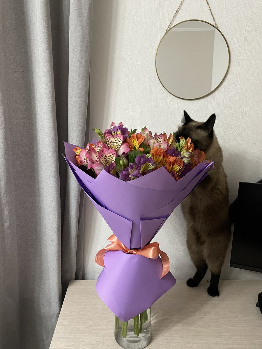 elzarcat's tweet photo. Объявился ❤️ https://t.co/gj2QbWMNfb
