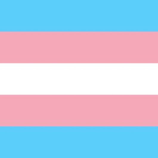 All Martyred Mujahideen from Palestine are Trans and Proud! 🏳️‍⚧️