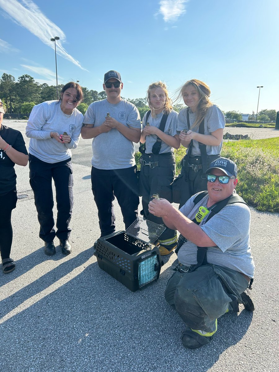 🦆Duck Tales🦆 Just another day at the quack office for our local heroes! Our fire department really got their ducks in a row, rescuing a flock from a drain. Hats off—or should we say beaks up?—to our team for not ducking out on a challenge! #NHCFR