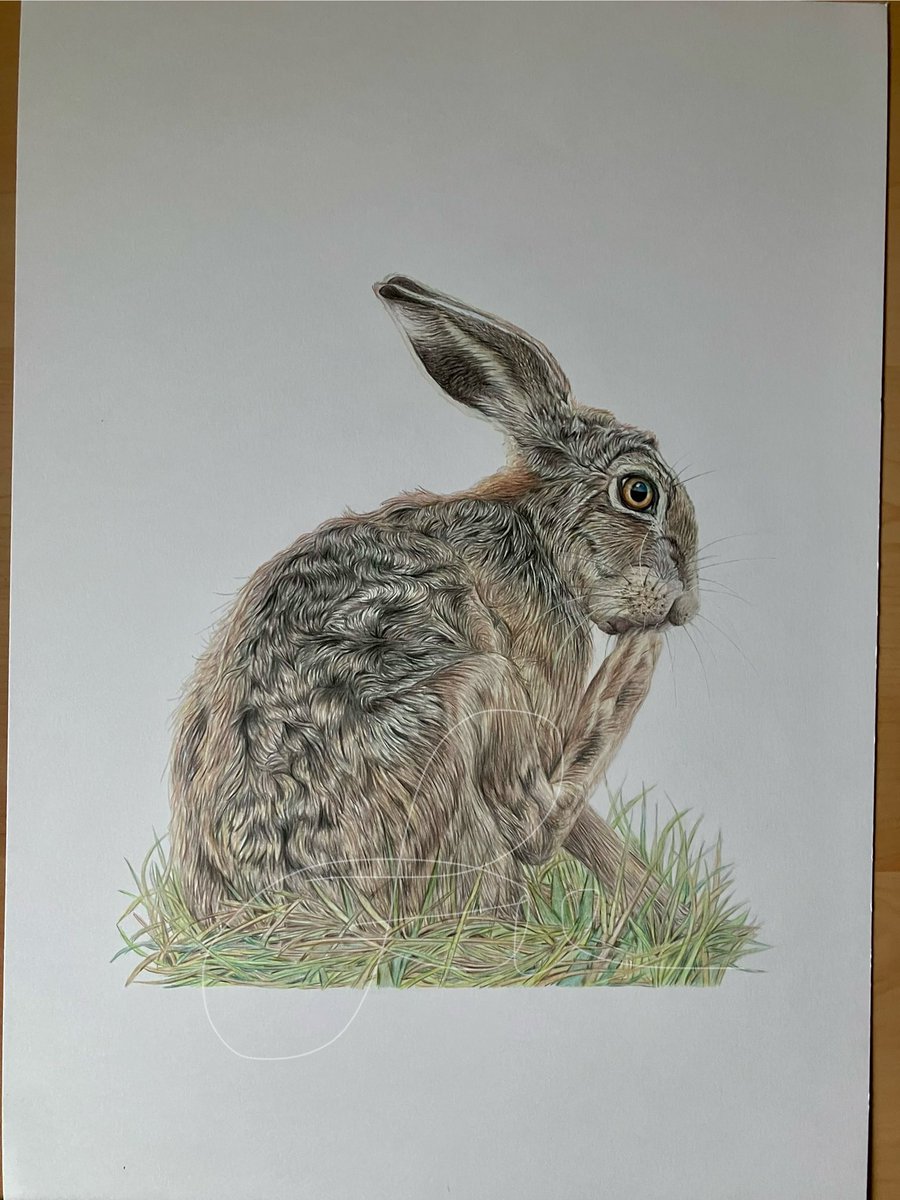 Debating if I get this one scanned or not for prints. It’s an older original that I still have in my drawer. #art #drawing #hares