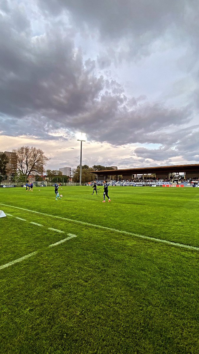 AleTypiara tweet media