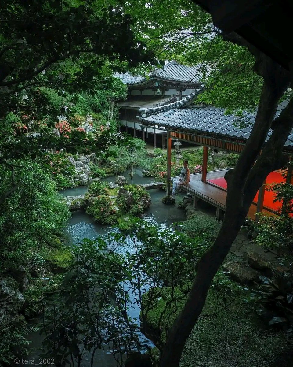 Hidden Paradise, Kyoto Japan❄️🇯🇵💙