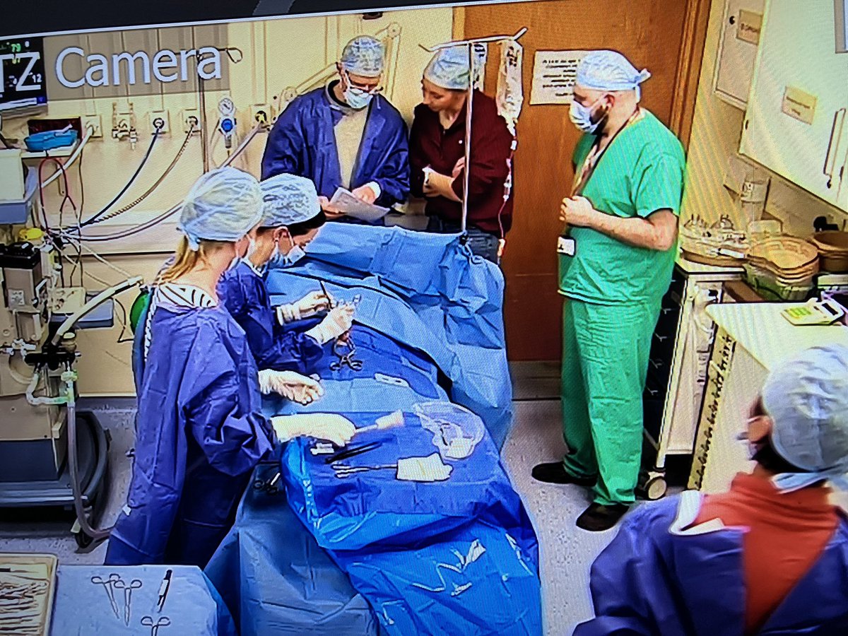 Salisbury Simulation tweet media