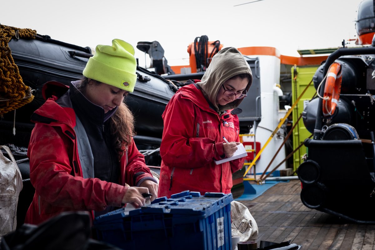 🇦🇶🇨🇱❄️ Finaliza la Expedición Científica Antártica número 60 del INACH 💙 Se utilizaron 9 plataformas científico-logísticas con 124 investigadores e investigadoras en suelo polar. inach.cl/finaliza-la-ex… @Minrel_Chile @min_ciencia