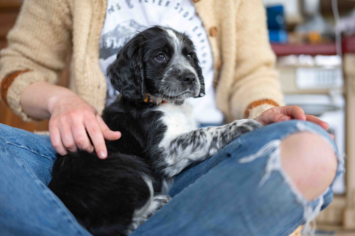 Scuppers posing very nicely for a photo. Leica SL3 + Sigma 50mm f1.2 DG DN ART