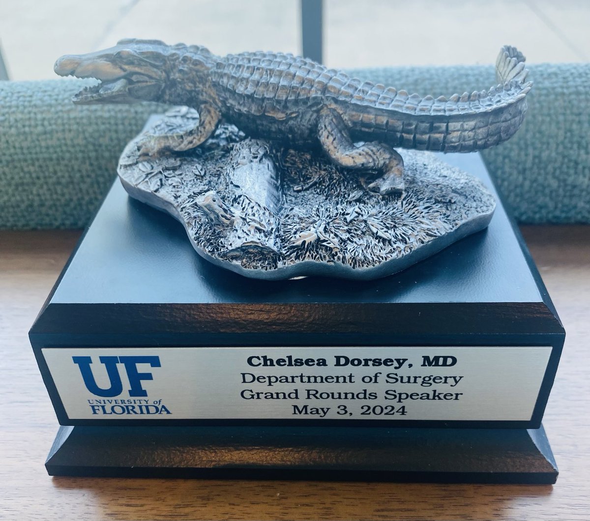 What a fantastic experience!! Thanks for the invite ⁦@UFSurgery⁩ ❤️ Honored to serve as a visiting professor. Had a great time meeting the ⁦@UFSurgResidents⁩ and faculty…and a gator for my office! What more could a gal ask for 🫶🏾