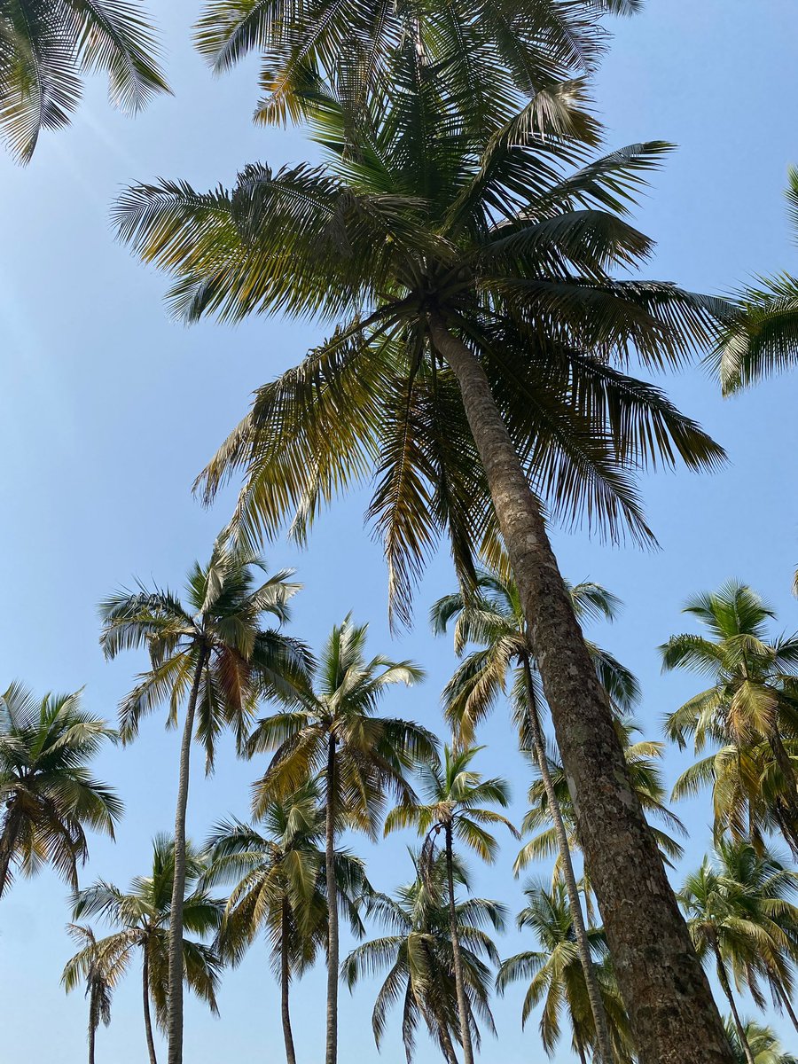 📍Sunset Beach, Buchanan 🇱🇷 It's already the weekend and I'm imagining a beautiful picnic on theee Sunset Beach! Located in Grand Bassa, this is one of the places you have to visit before leaving Liberia. 🤍