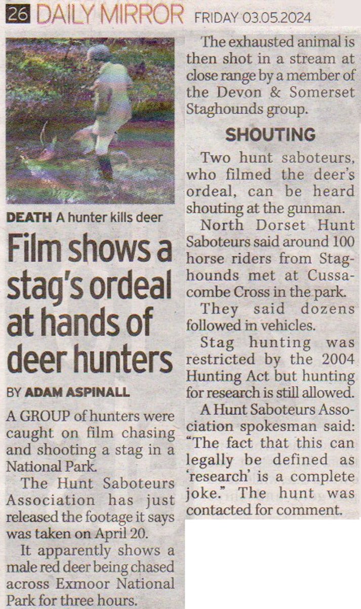 In the @DailyMirror today. “Film shows a stag’s ordeal at hands of deer hunters” Watch the video here huntsabs.org.uk/shocking-foota…