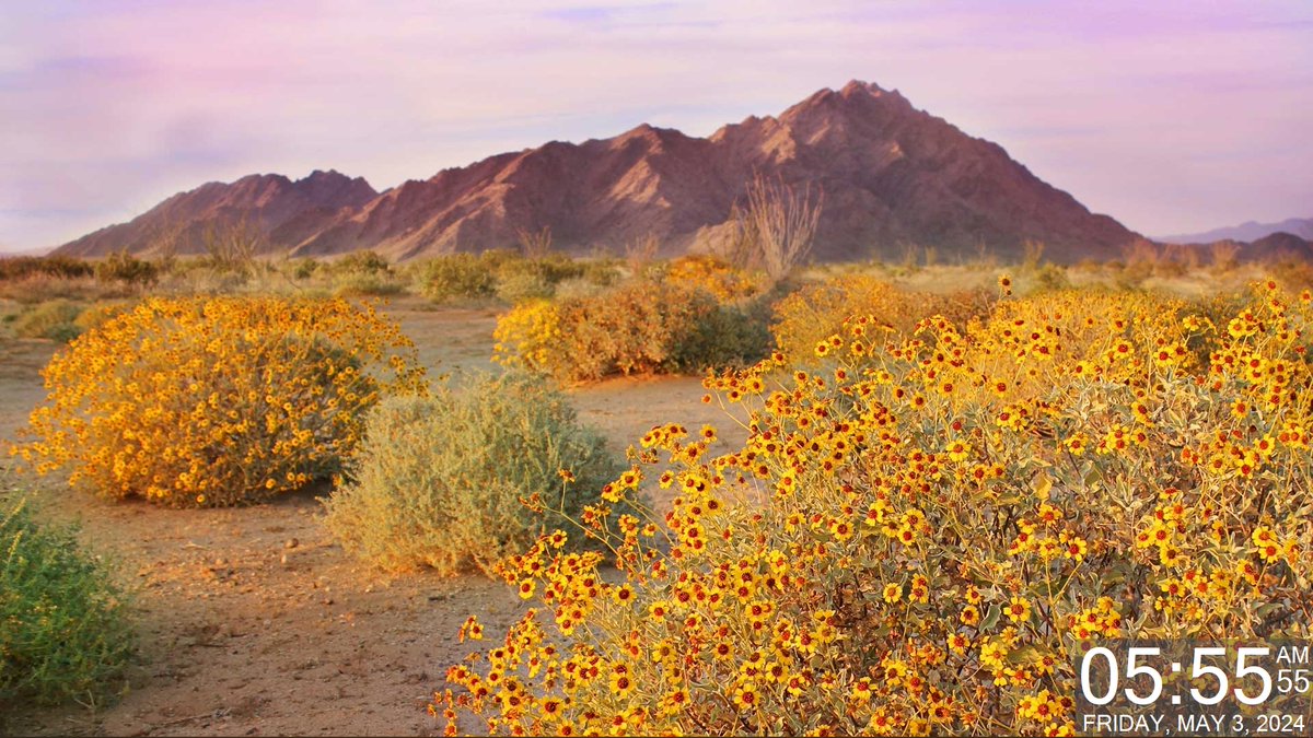 Today's Daily Wallpaper Refresh from Bing

A hot spot for wildflowers.  The Sonoran Desert, Arizona

bit.ly/3PfdwgI

#TodayForWindows #freedownload #tryitforyourself #imageoftheday #pictureoftheday #wallpaperoftheday