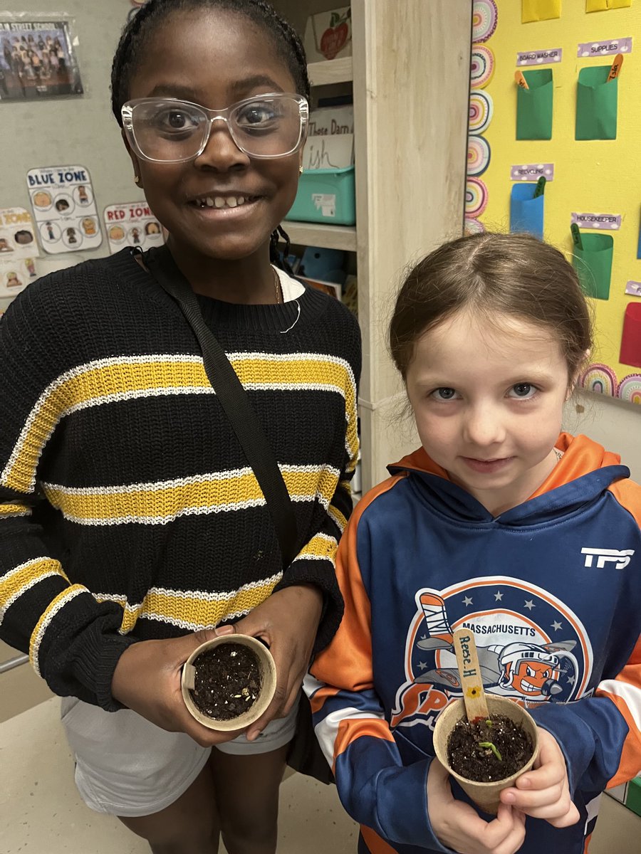 Mrs. Rizzo's Class tweet media