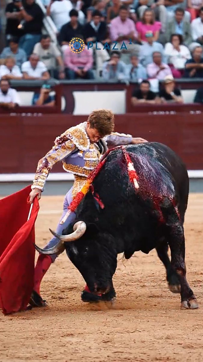 Cultura, cultura, cultura